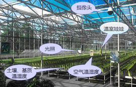農(nóng)業(yè)物聯(lián)網(wǎng)