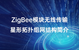ZigBee模塊無線傳輸星形拓?fù)浣M網(wǎng)結(jié)構(gòu)簡介