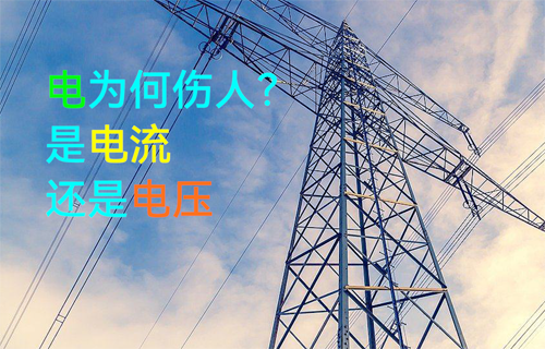 【科普視頻】觸電傷人的到底是什么？