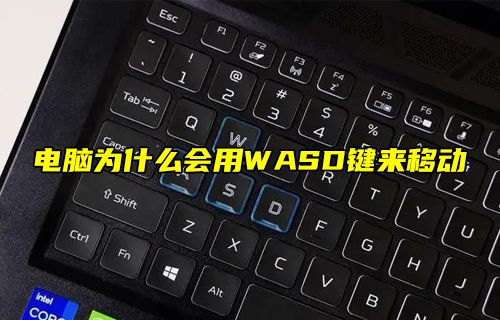 【科普視頻】電腦為什么會用WASD鍵來移動？