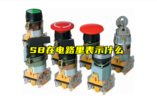 【科普視頻】SB在電路里表示什么？
