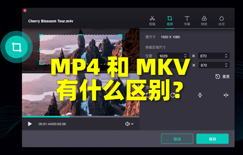 【科普視頻】MP4和MKV有什么區(qū)別？