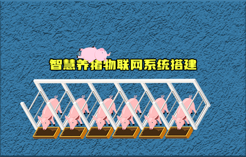 【科普視頻】智慧養(yǎng)豬物聯(lián)網(wǎng)系統(tǒng)如何搭建？有什么功能？
