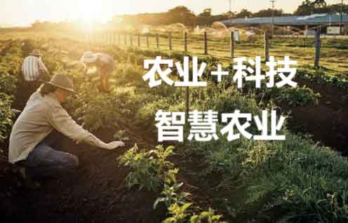智慧農業(yè)