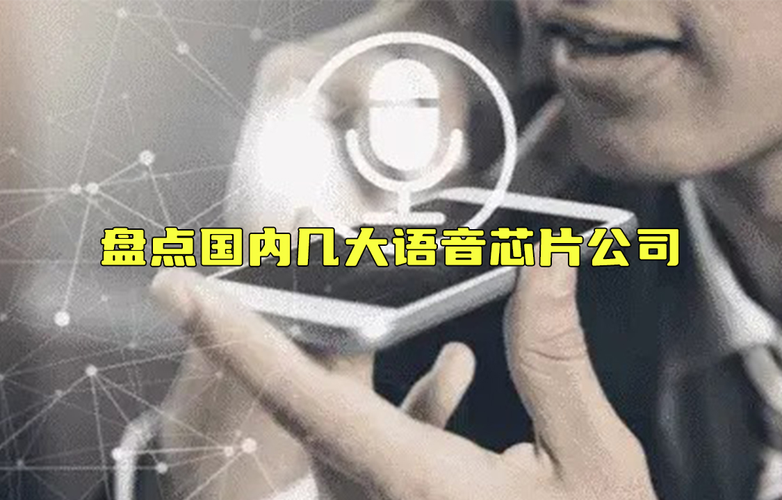 【科普視頻】盤點國內(nèi)幾大語音芯片公司