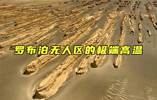 【科普視頻】羅布泊無人區(qū)的極端高溫