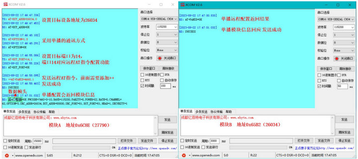 遠程單點配置