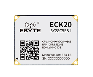 ECK20-6Y28C5E8-I
